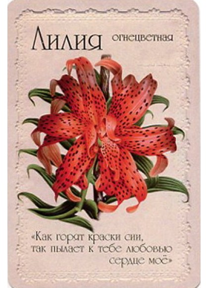 Оракул «Селам или Язык Цветов»